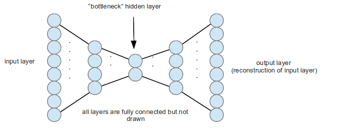 cell interactions in visual